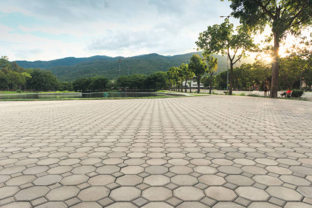 Residential Paver Driveway in Colusa, CA