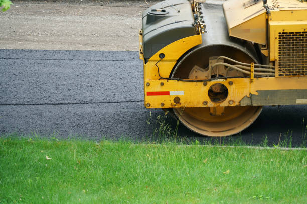 Best Best Driveway Pavers  in Colusa, CA