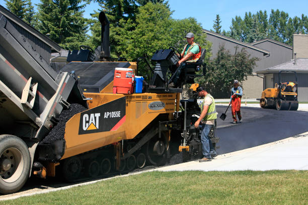 Best Driveway Paving Company  in Colusa, CA